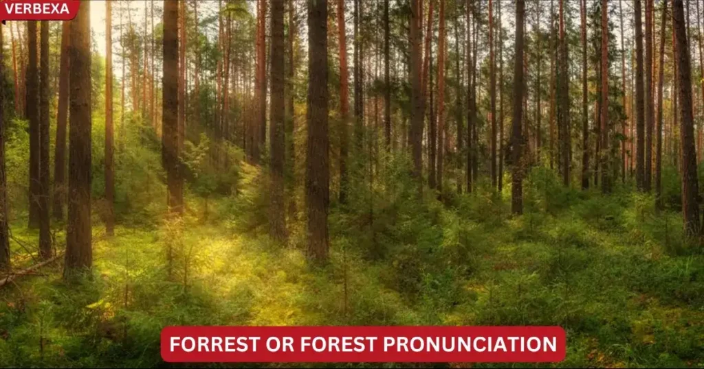 Forrest or Forest Pronunciation