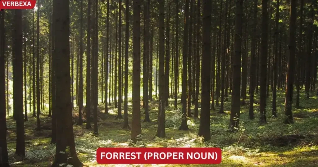 Forrest (Proper Noun)