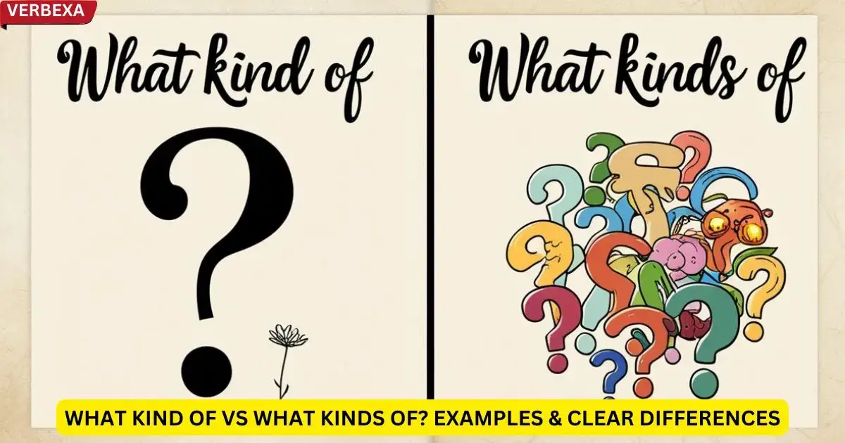 What Kind of vs What Kinds of? Examples & Clear Differences